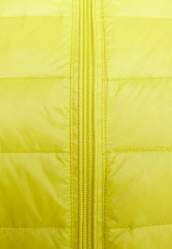 Patrizia Pepe PIUMINO JACKET - Down Jacket - Citrus 4 Patrizia Pepe PIUMINO JACKET - Down Jacket - Citrus -Patrizia Pepe Shop d549047a48e2435faf9c6a8cf62e1e67